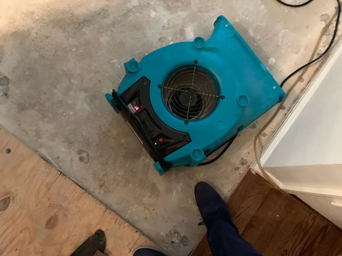 Air mover drying subfloor during Leak Detection & Repair in Argentine